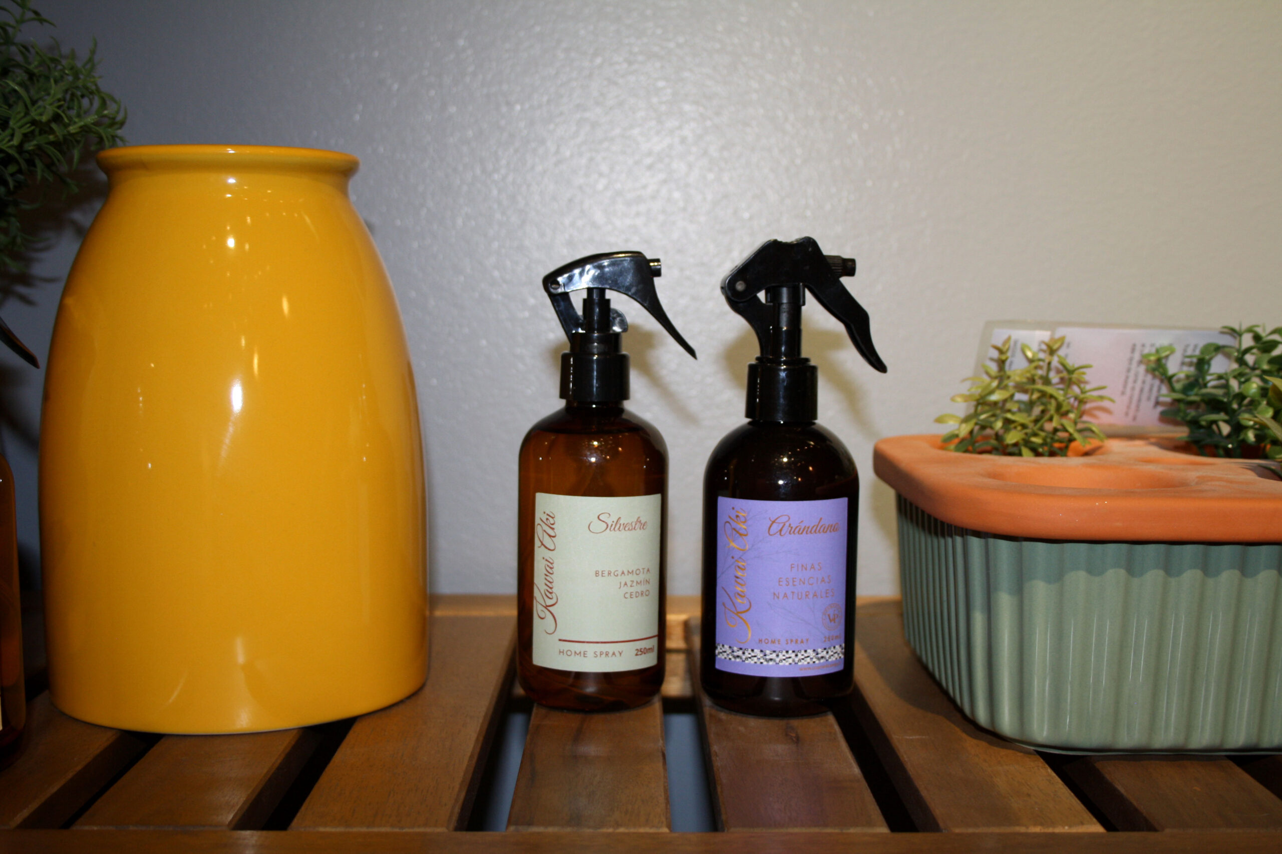 Home Spray Arándano - Imagen 2